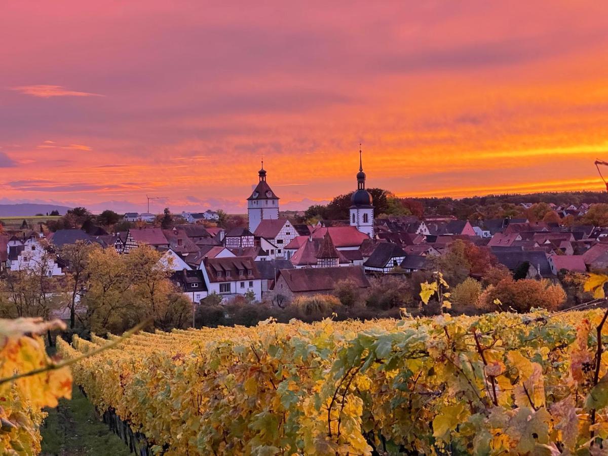 Gasthof Zum Storch Пріксенштадт Екстер'єр фото